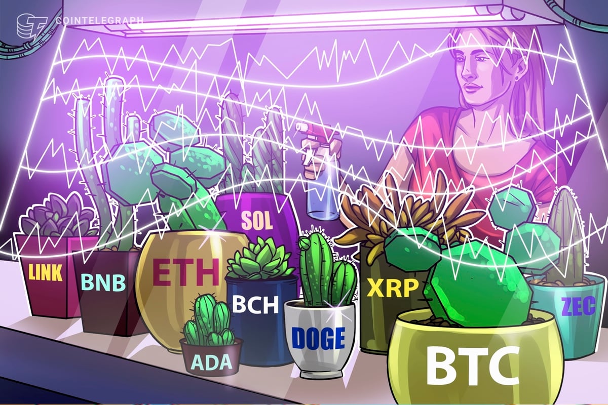 Price Predictions: BTC, ETH, BNB, XRP, SOL, DOGE, ADA, BCH, LINK, ZEC | Curated by Alerts360
