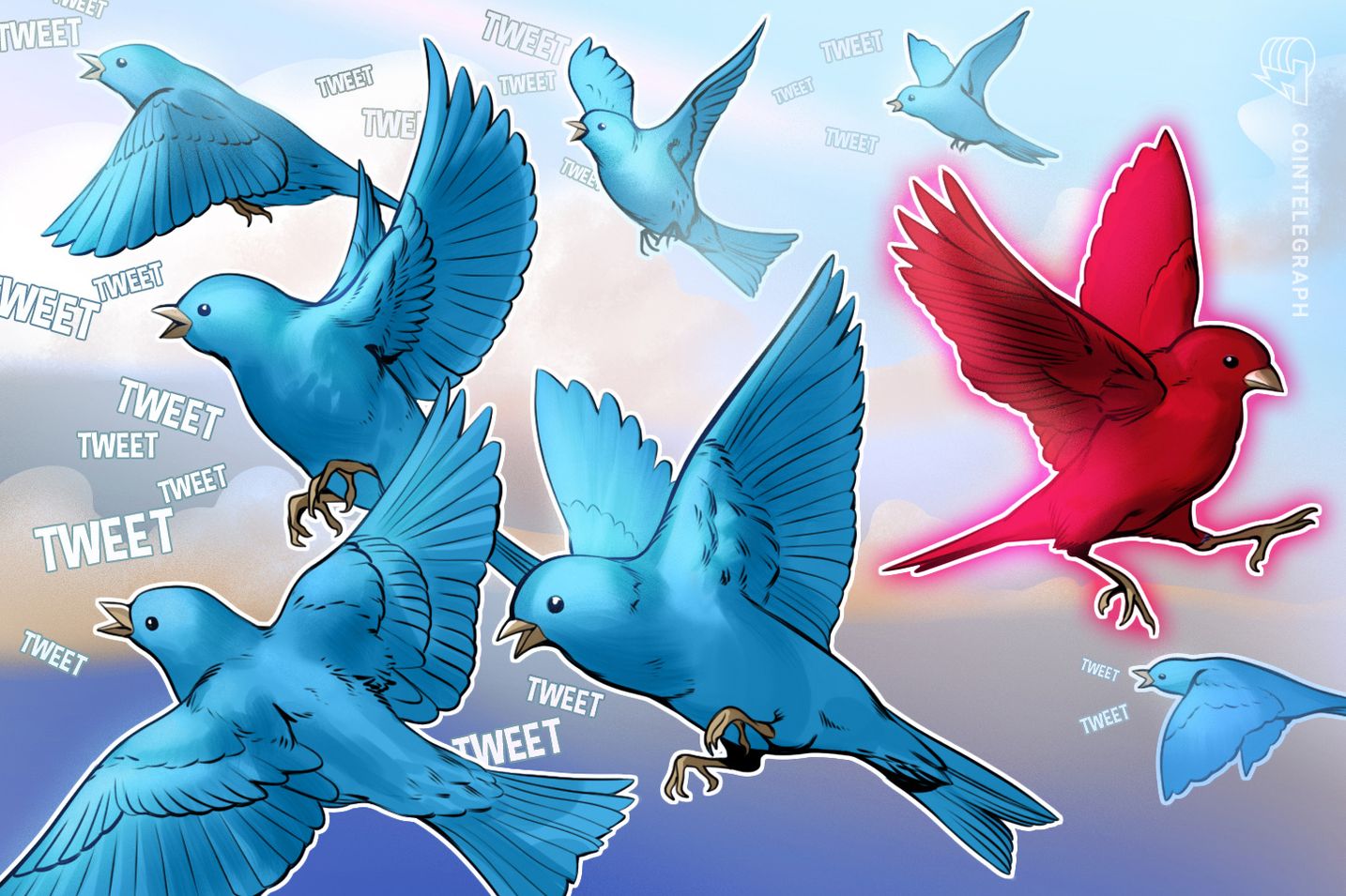 柴犬币销毁追踪账户Shiba Inu Burn的推特账户遭到暂停