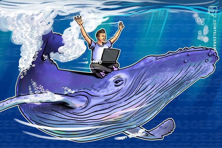 Baleias retiram 15.855 Bitcoins das exchanges em diversas transações