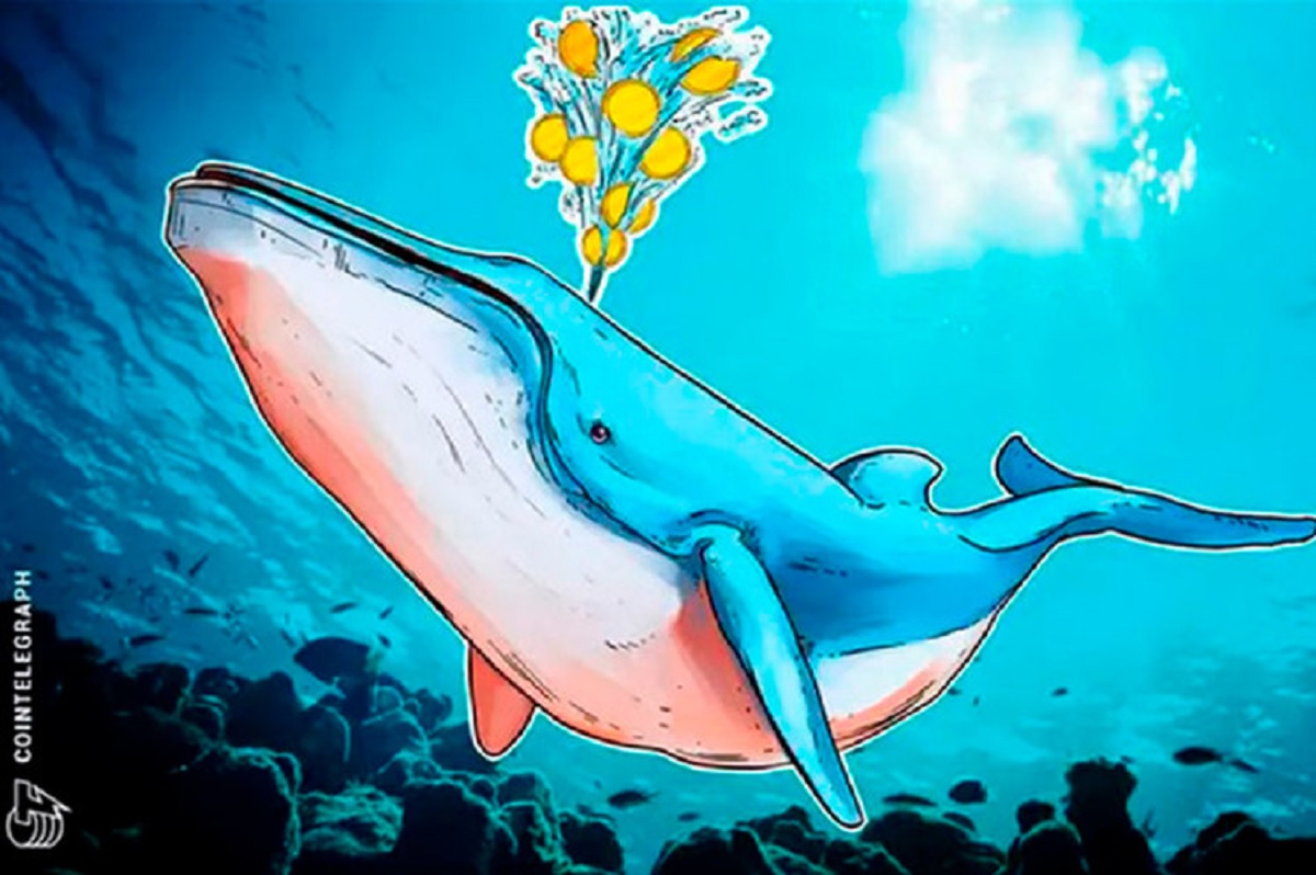 Rali do Bitcoin e apetite das baleias impulsionam 13 altcoins, aponta monitoramento 