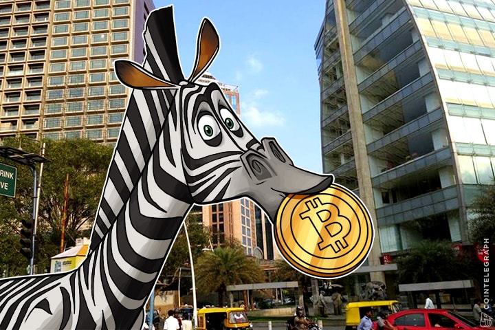 India's Zebpay Has More Mobile Users Than All Korean Bitcoin Apps Combined