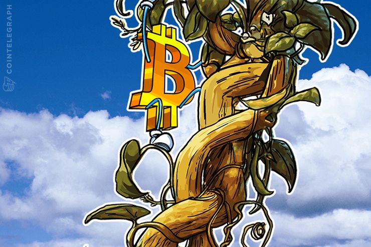 仮想通貨ビットコインは6800~7680ドルのレンジ相場に 米投資会社が2012年のチャートから推測