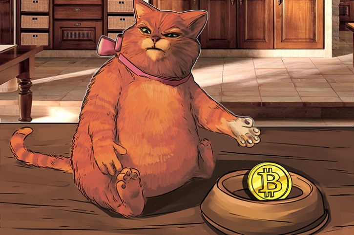 Hype do Bitcoin Cash explode enquanto perdas de 60% se combinam com o retorno do Bitcoin