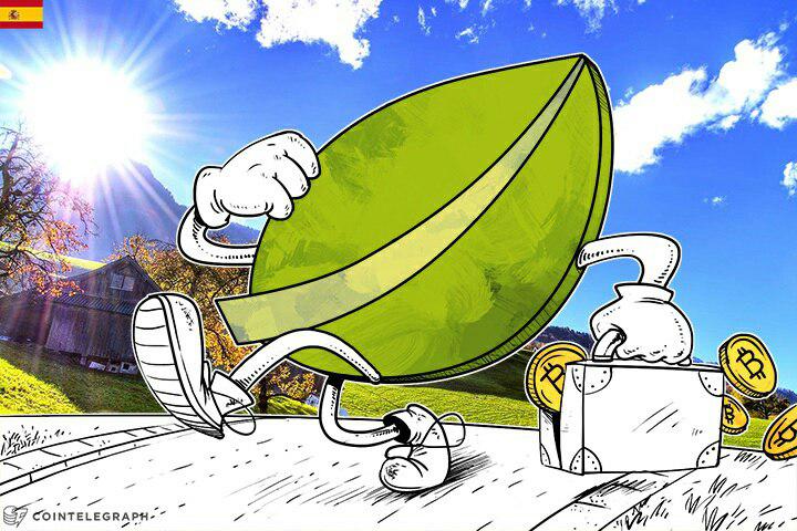 Las lecciones que nos dejó el caso Bitfinex