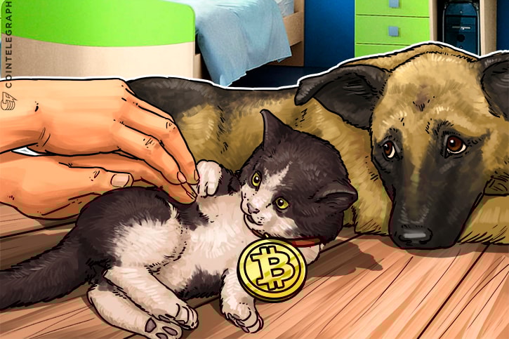 CEO do Morgan Stanley joga o Bitcoin para baixo juntando-se ao coro dos banqueiros