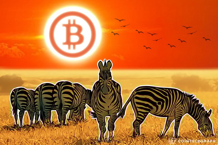 Tens of Thousands of Merchants Accept Bitcoin in South Africa as Government is Friendly