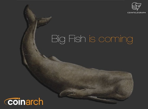 Coinarch: A Good Bet?