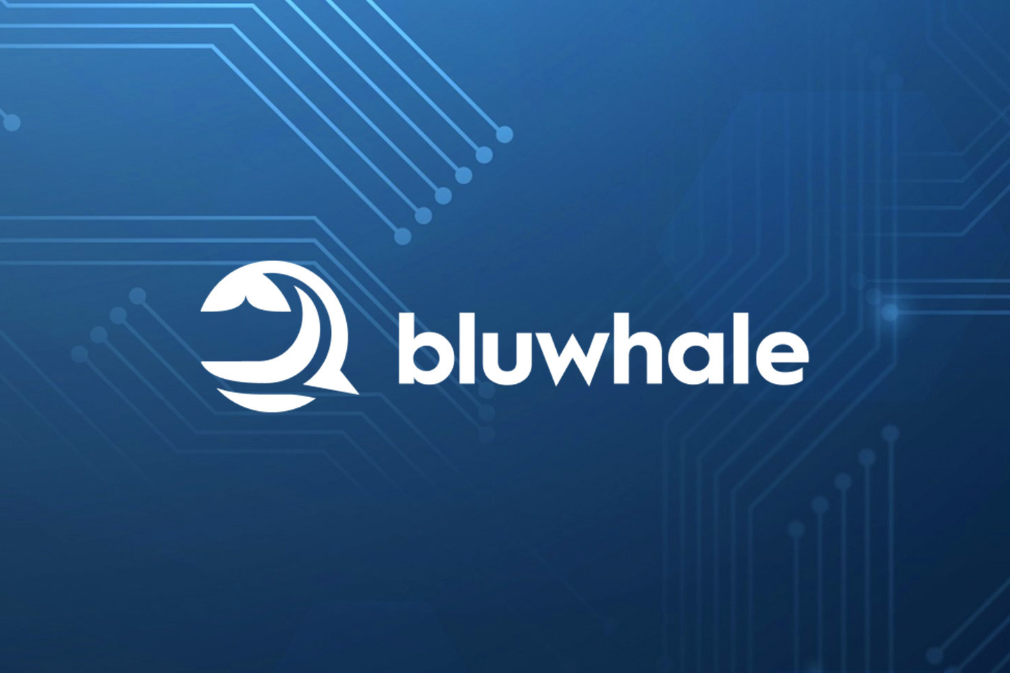 Bluwhale secures $100 million to turn its intelligence layer multi-chain, powering AI agents, models and LLMs