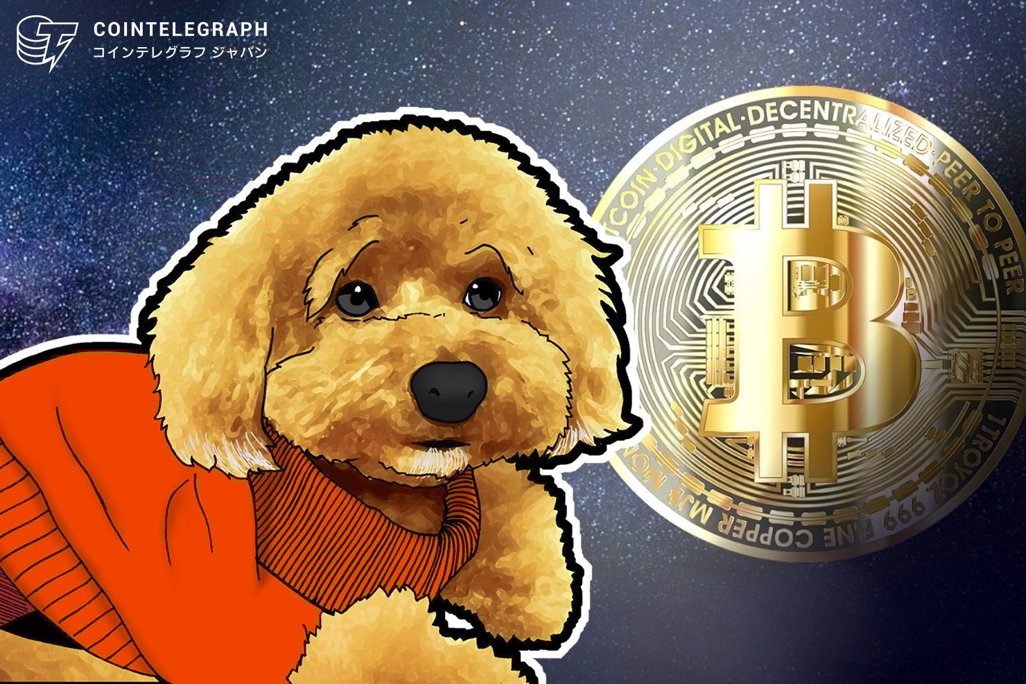 現在のビットコイン上昇には中身がない？プチバブルに潜む影と対策とは【トシムリンの仮想通貨相場分析】