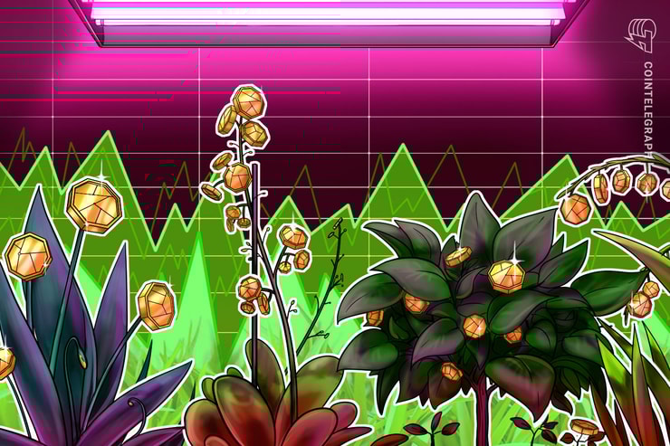 Las 10 criptomonedas de mejor rendimiento de 2019 que no se llaman Bitcoin