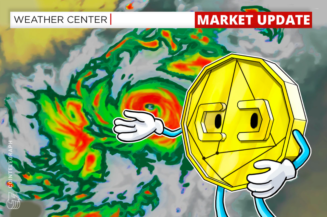 Analista aponta 5 criptomoedas que subiram até 25% na semana enquanto Bitcoin permaneceu entre US$ 29.000 e US$ 31 mil