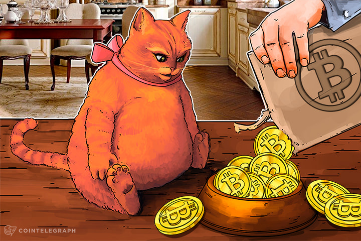 اتباع مبدأ "هودل" أم جني الأرباح من مكاسب العملات الرقمية؟