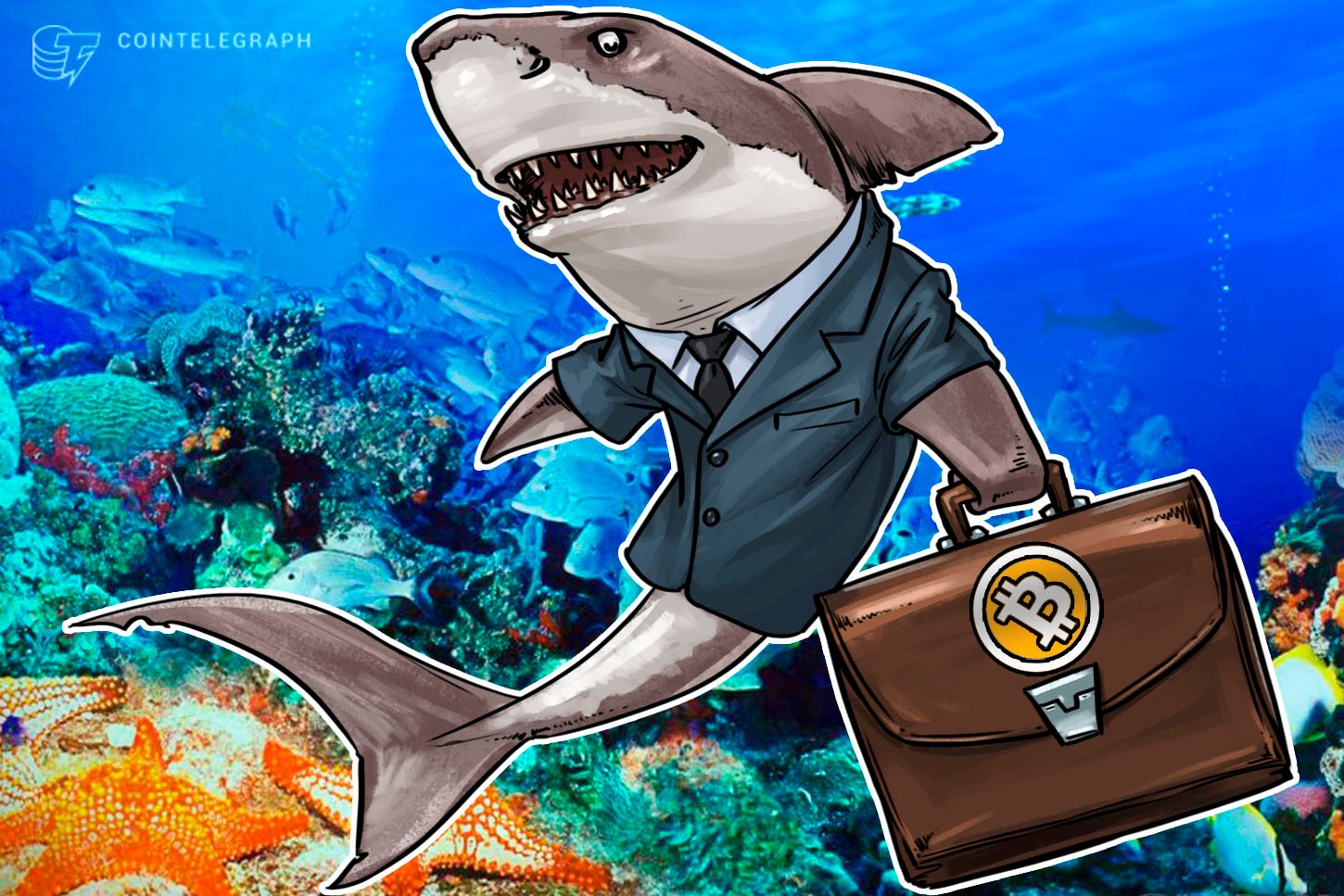 Los Asesores de Inversión Necesitan Entender el Cripto y la Cadena de Bloques Dice el Estratega de Fintech