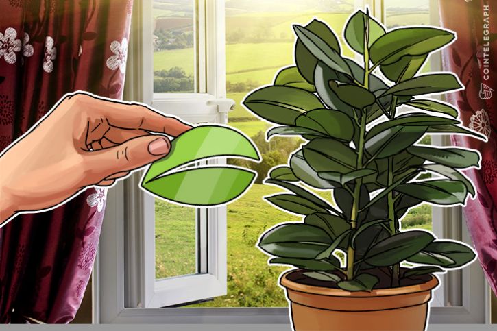 Tokens Bitfinex permiten a los usuarios cubrir apuestas en Bitcoin SegWit2x Hard Fork