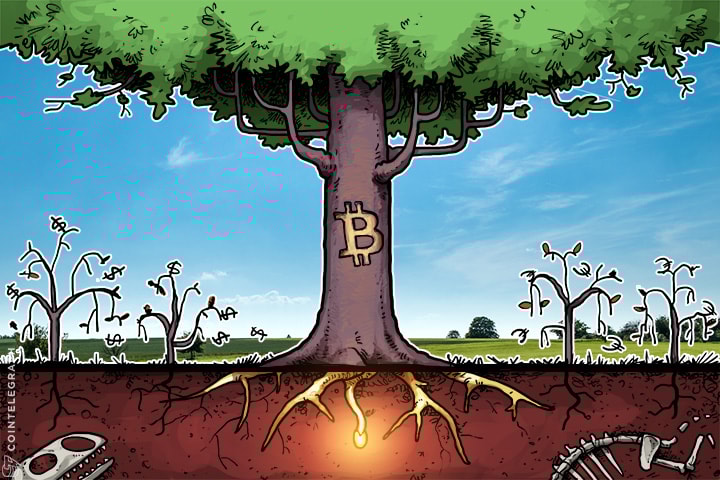 No es realmente sobre el aumento del precio de Bitcoin, es sobre monedas fiduciarias en caída libre