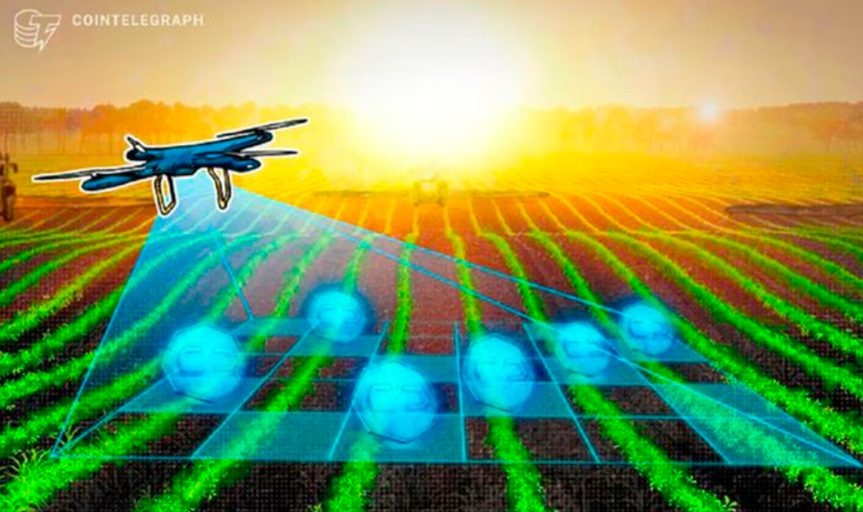 Banco do Brasil fecha parceria e vai receber pagamentos em tokens RWA ligados a produção da agricultura nacional