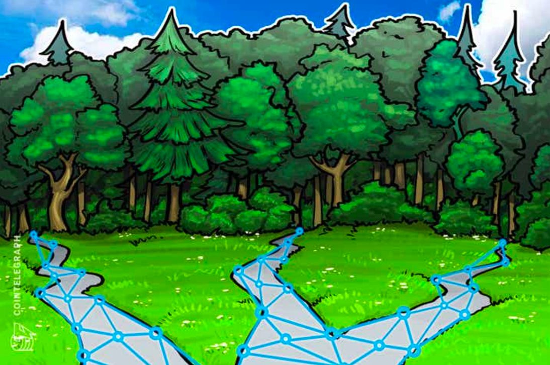 Colonialismo 2.0: Empresa é acusada de invadir terras indígenas e vender NFTs falsos vinculados a Floresta Amazônica