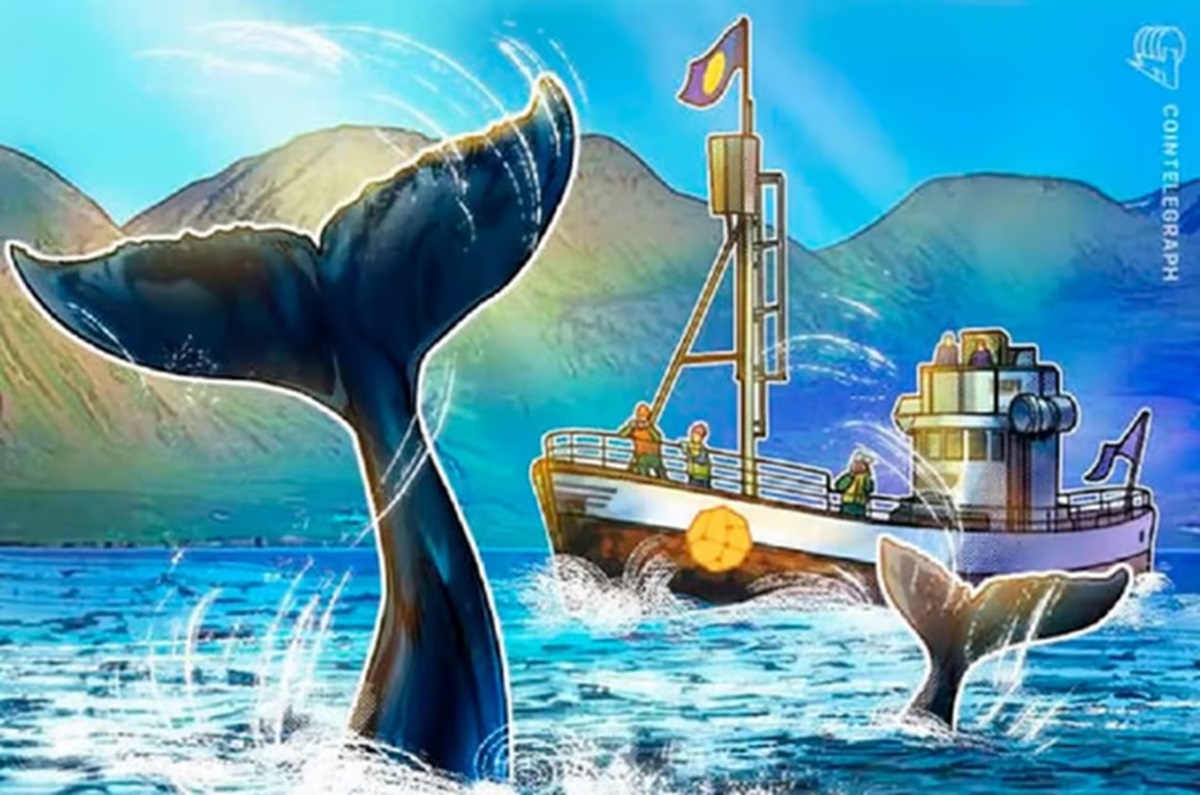 3 criptomoedas despertam ganância das baleias enquanto especialista acumula 3 altcoins novatas, de olho no próximo ciclo de alta