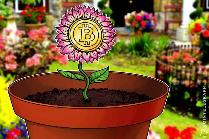 Llew Claasen: Why the Rest of 2016 Will Bring Even More Growth to Bitcoin, Blockchain Focus Being Blessing