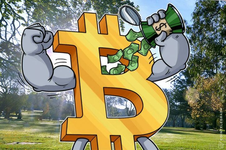 Preço do Bitcoin já olha para os US$ 2.900, Bitcoin Cash cai para Baixas Históricas