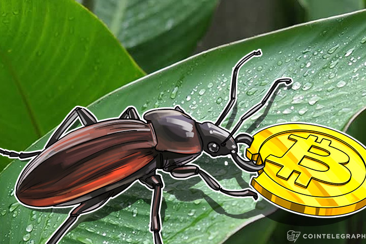Community Reacts to Bitcoin Unlimited Bug, Calls For SegWit Activation