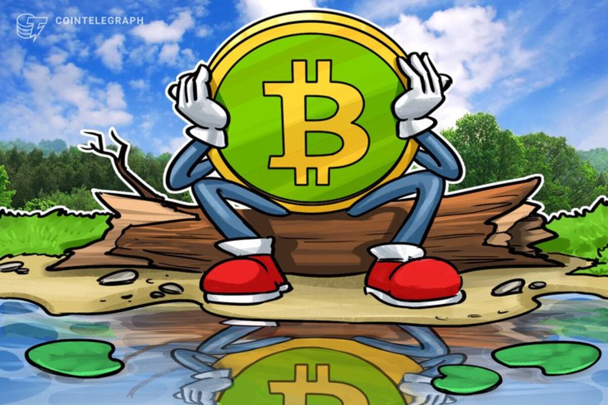 Bitcoin Cash pierde 15% de su capitalización de mercado en los últimos 30 días