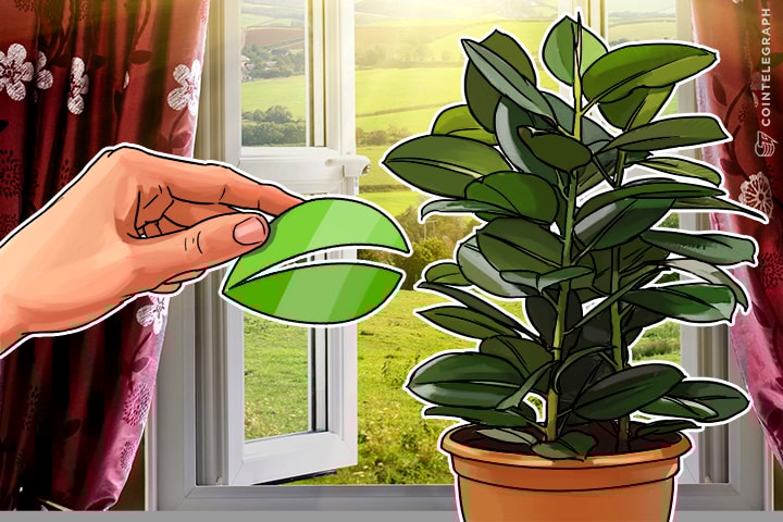 Bitfinex May Spread the Loss of US$70 Million Among Users; Repay?