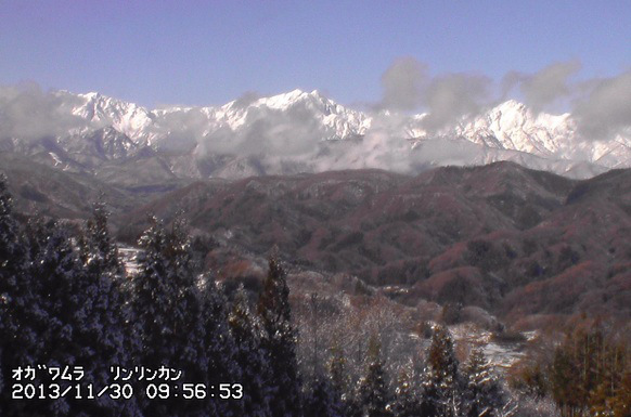 Bitcoin the Official Currency of The Patch Autonomy