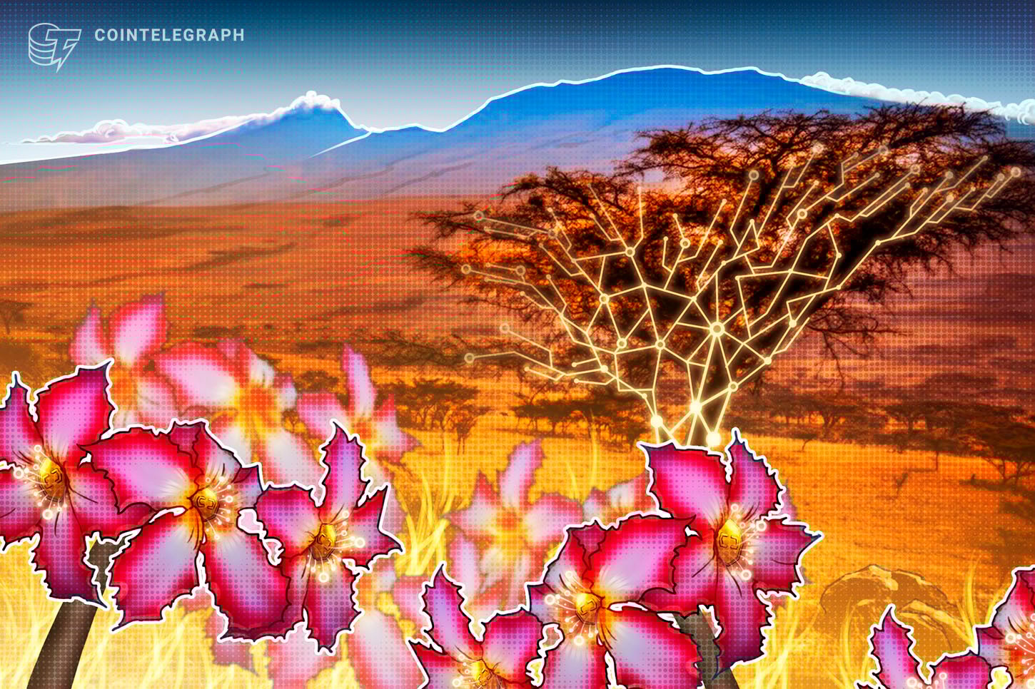 South Africa: The Next Frontier for Crypto Exchanges