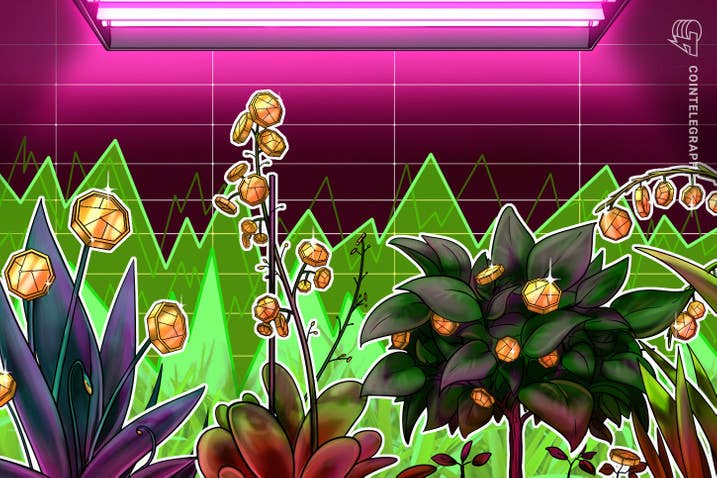 Plant vs Undead: El token PVU llega a su mínimo histórico