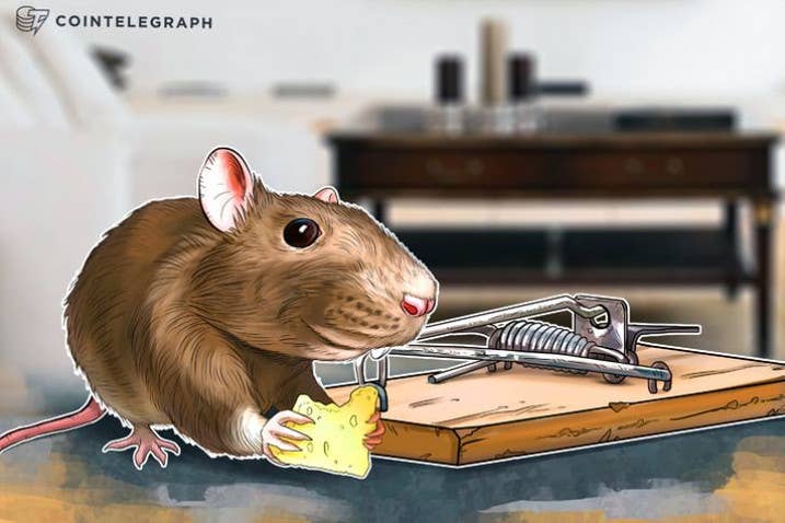 Rato vira 'trader' de Bitcoin e criptomoedas e já acumula mais de 20% de lucro, superando até Warren Buffett