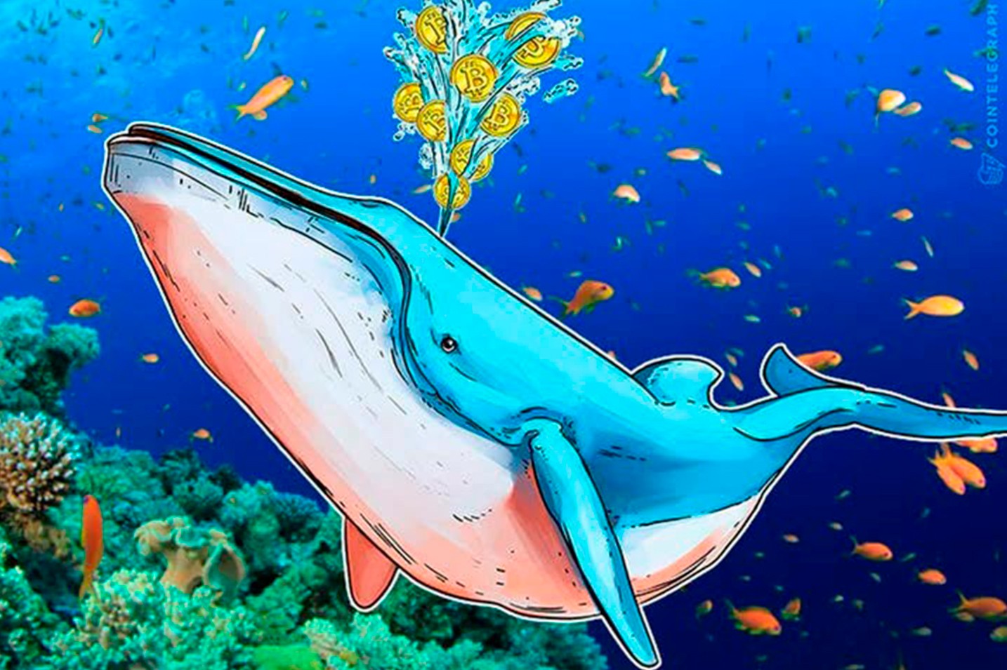 Baleia lucra 13.500% após vender 9.000 BNB