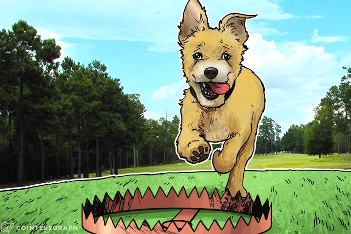 David Stockman diz que investidores de criptomoedas são “especuladores estúpidos”