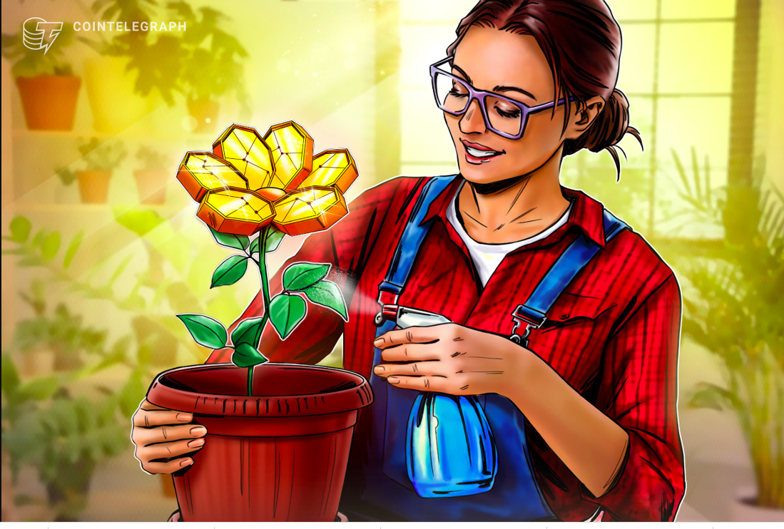 Analises apontam que mercado cripto continuará agitado mas oferece oportunidade de lucro de 200% no longo prazo