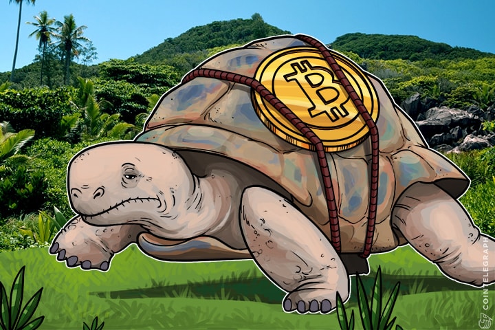 ‘Why is My Bitcoin Transaction Taking So Long?’ Here’s Why