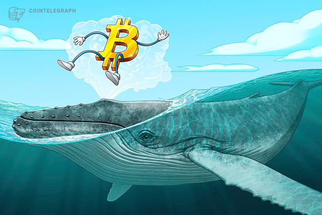 Whales Bitcoin comienzan a mover fondos en pleno escenario alcista