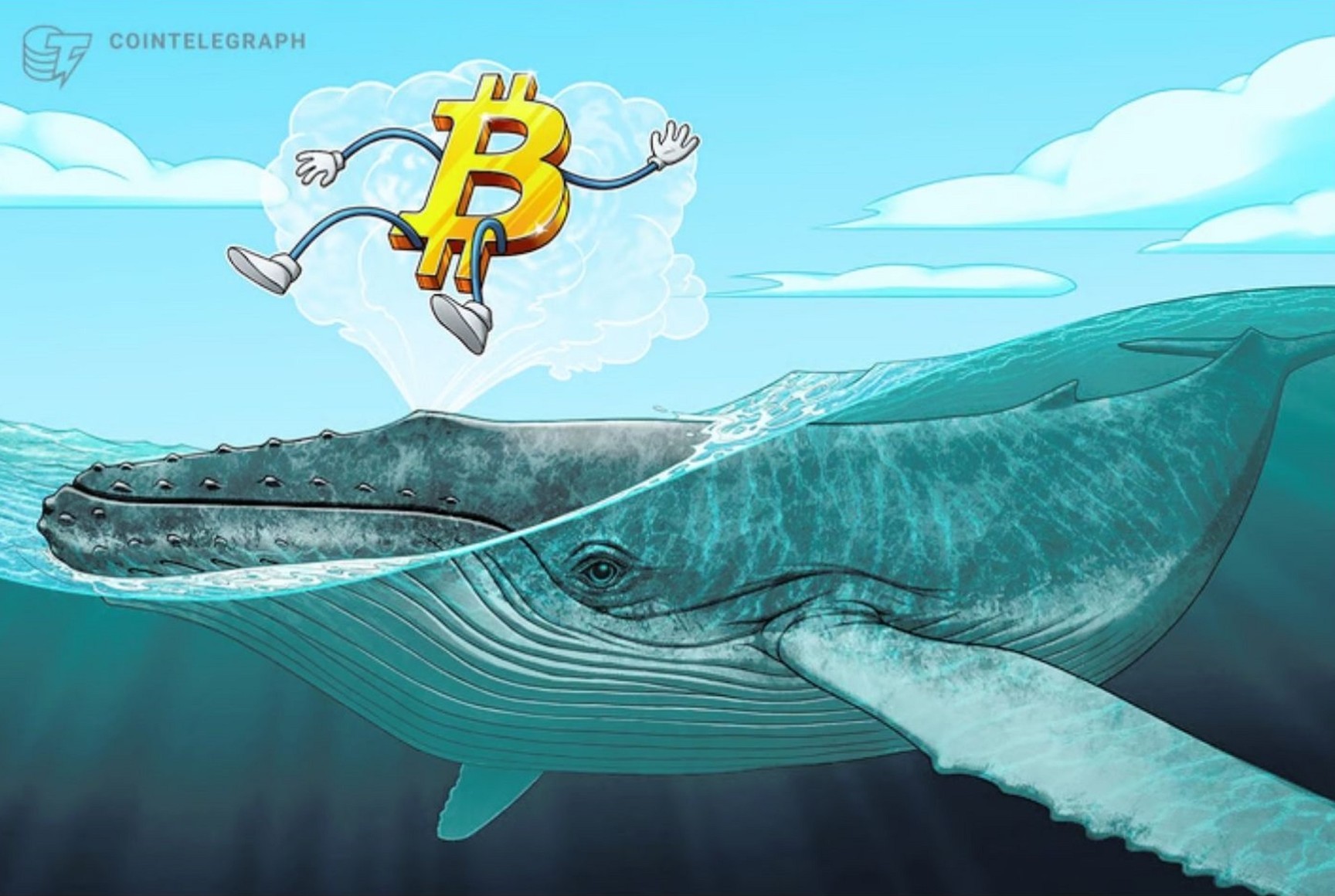 El festín de la ballena: La concentración extrema de Bitcoin y sus peligros