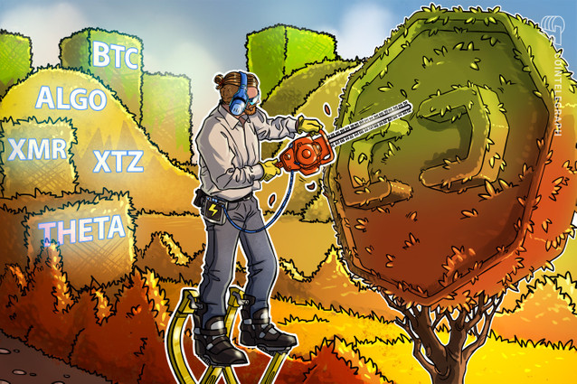 En pleno mercado bajista conozca quién es el token ganador del criptomercado según CoinMarketCap