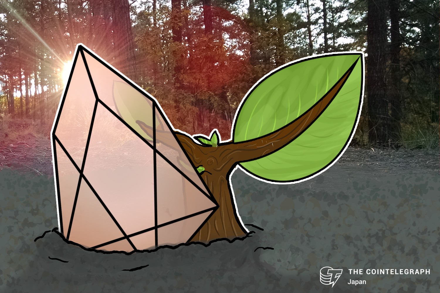 ビットフィネックスが分散型仮想通貨取引所に向け布石 EOSFinex立ち上げへ