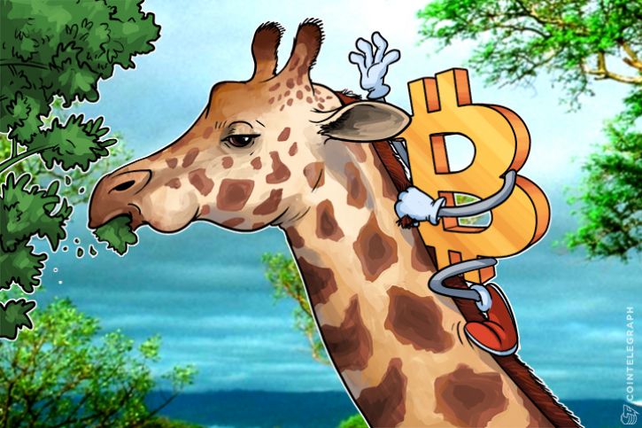 Sudáfrica supera las búsquedas Google de Bitcoin alrededor del mundo