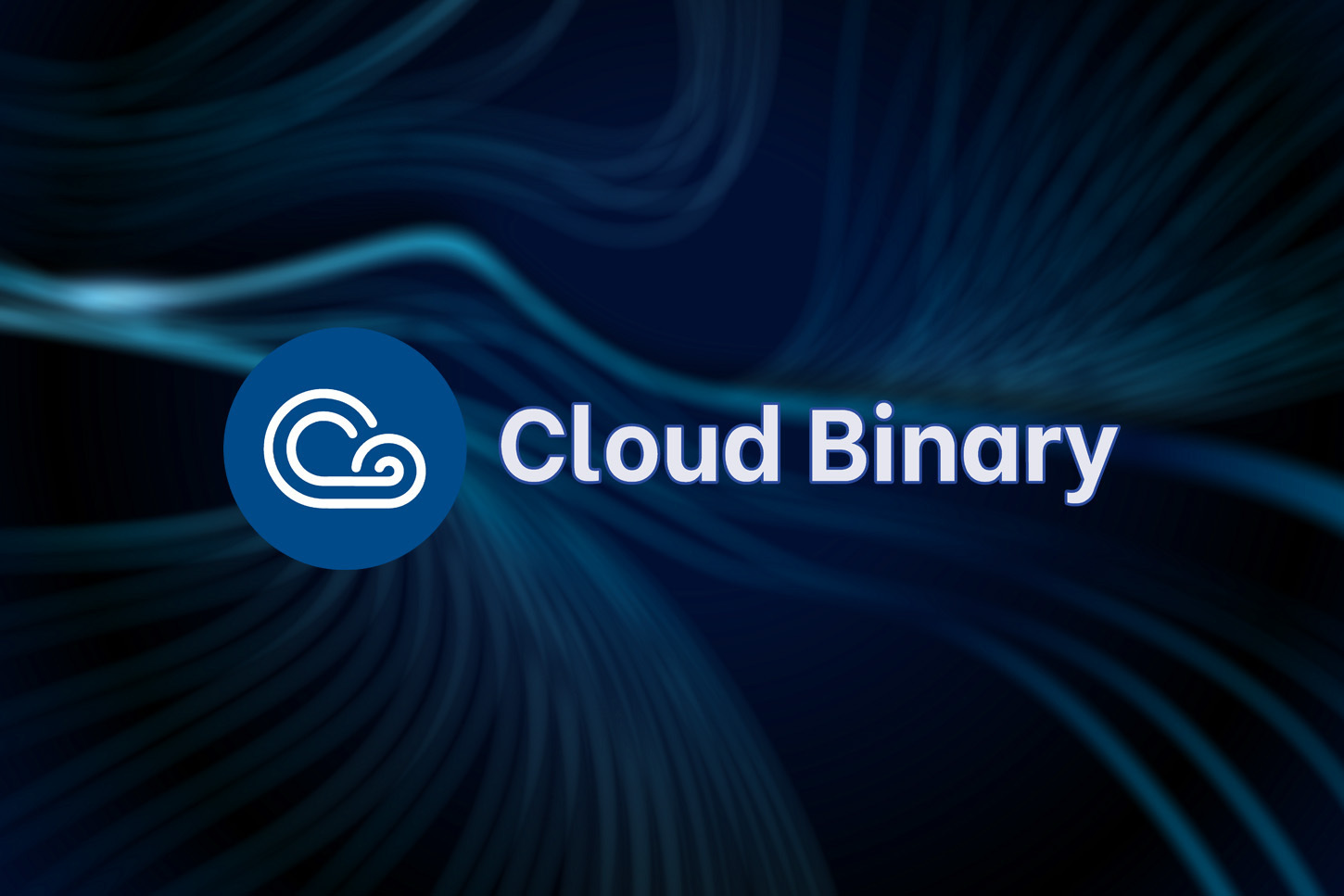 Cloud Binary Server - Accessible, secure, and anonymous cloud solutions for decentralized and AI ML apps