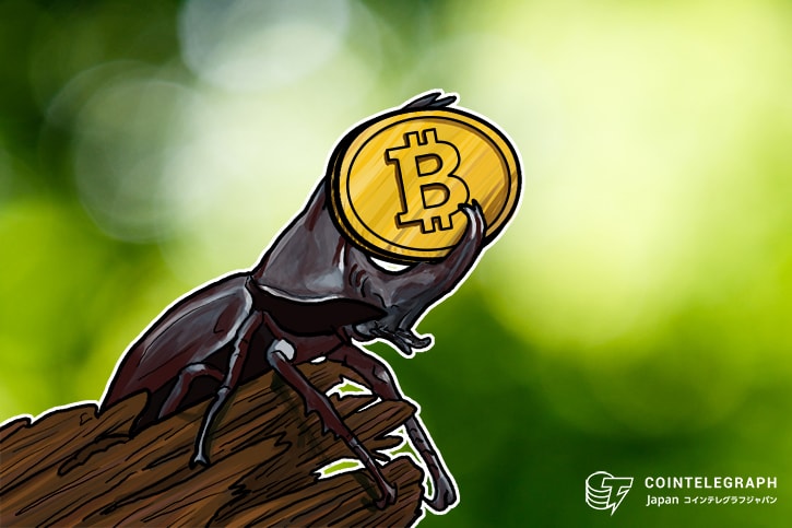 SegWit導入のビットコイントランザクションが初の５割超え【アラート】