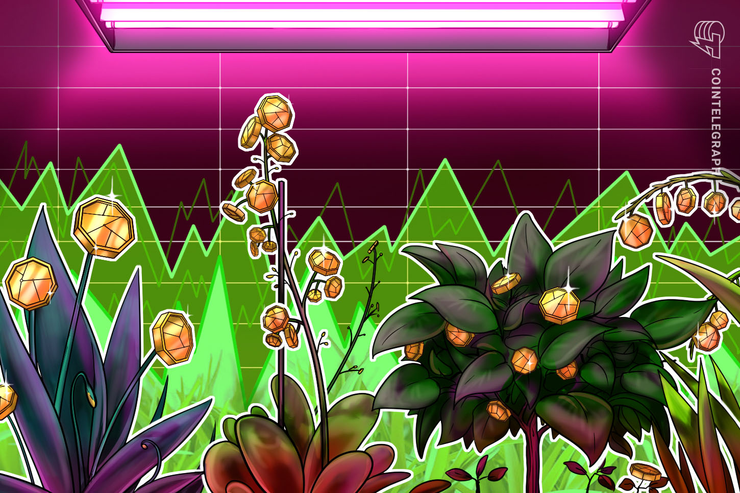 Chainlink sobe durante a semana e surpreende o mercado