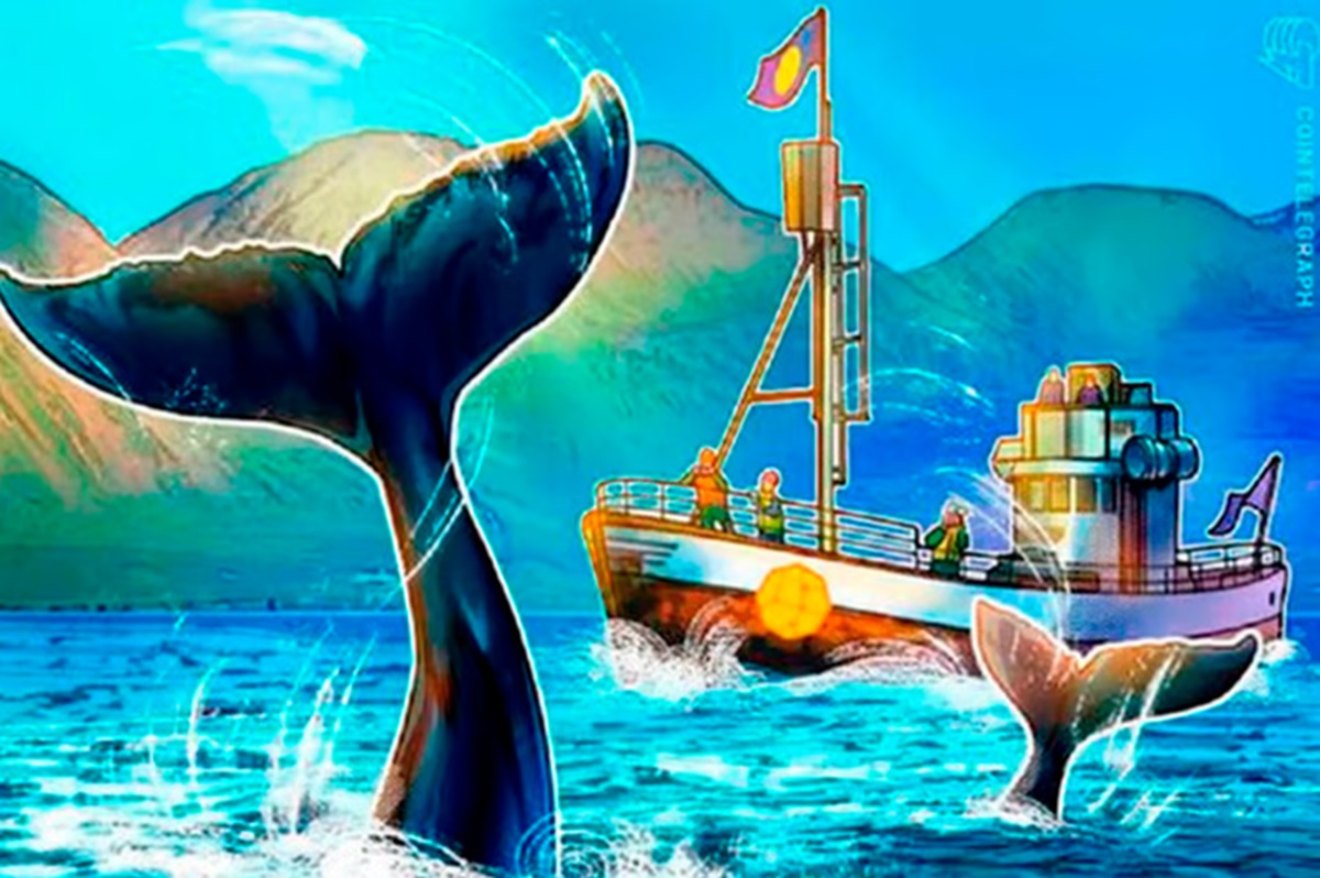 3 altcoins com alta bimestral de até 38.160% abocanhadas pelas baleias enquanto o Bitcoin tenta nova máxima histórica