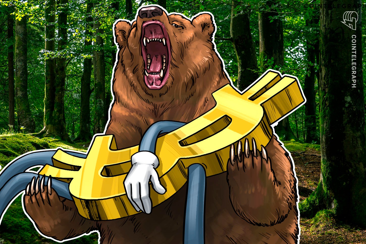 Mercado cripto Bear afeta as avaliações do capital de risco