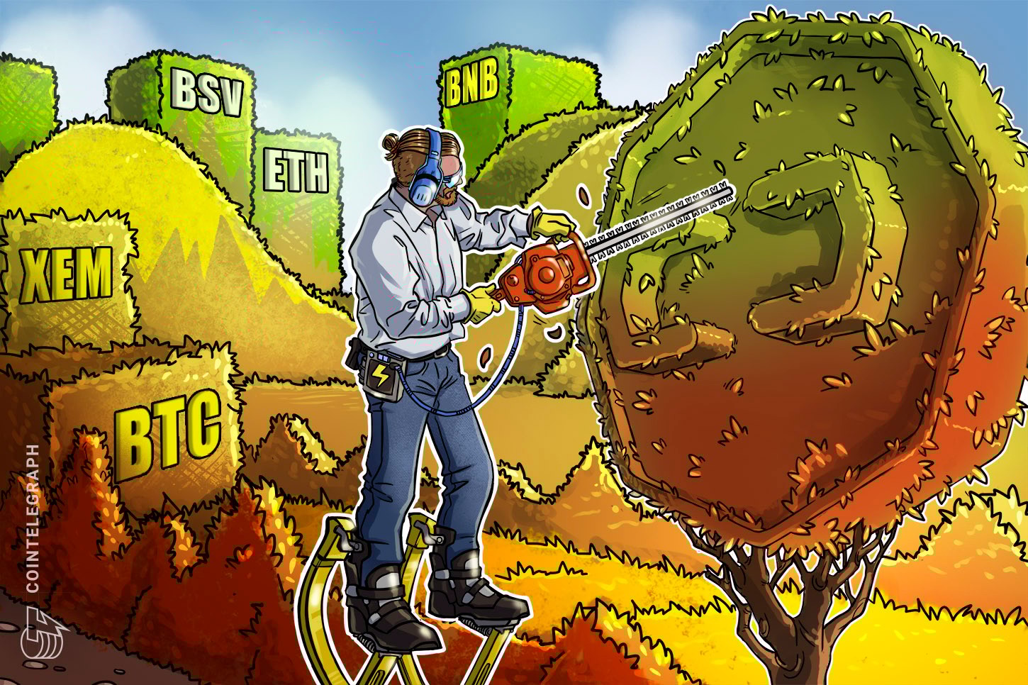 Las 5 criptomonedas de mejor desempeño: BTC, XEM, BSV, ETH, BNB