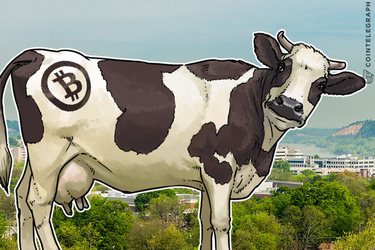 La plataforma LivestockID de Argentina trabaja para aplicar blockchain en la industria ganadera