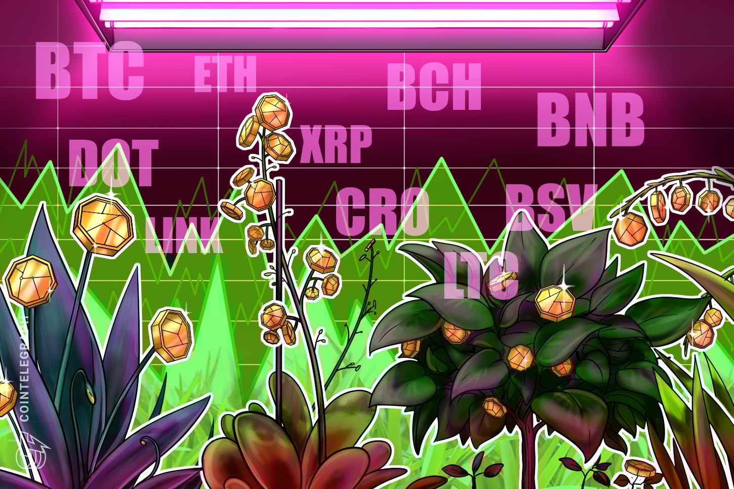 Análise de preços do Top 10 (9/10): BTC, ETH, XRP, BCH, BNB, DOT, LINK, CRO, LTC, BSV