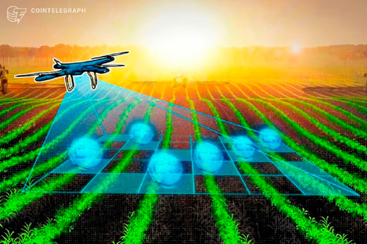 Agricultores brasileiros têm acesso ao crédito facilitado através de blockchain e NFTs