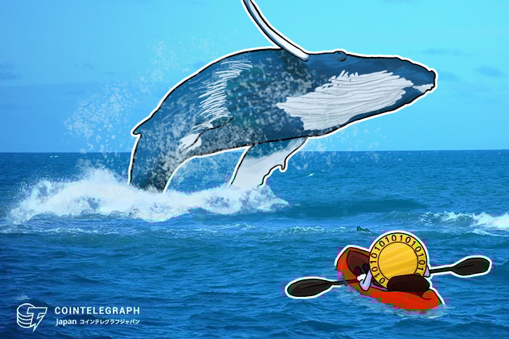 イーサリアムのクジラ 仮想通貨ETHの保有額を増やす